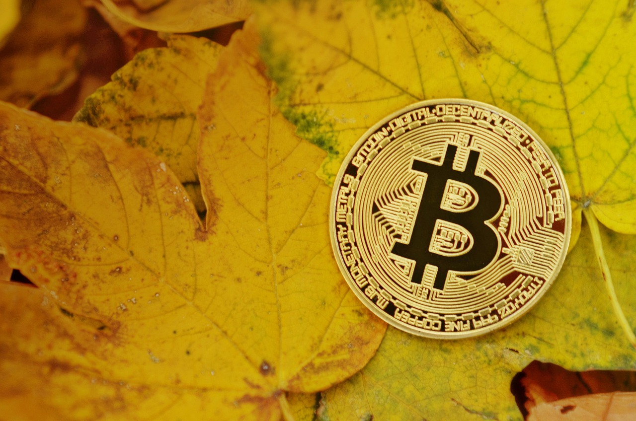 投资比特币和以太币哪个比较赚钱？Glassnode数据：BTC连续2年胜出